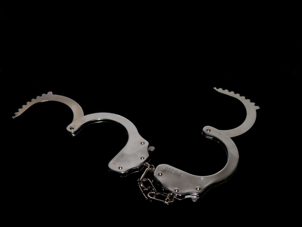 Criminal Organization